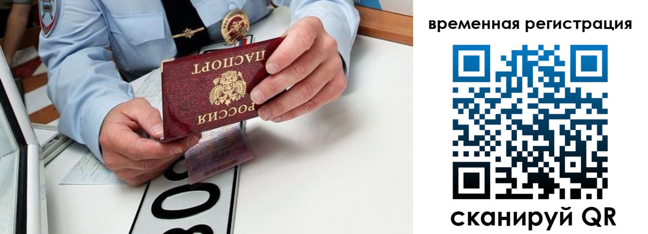 прописка гарантия в Куртамыше